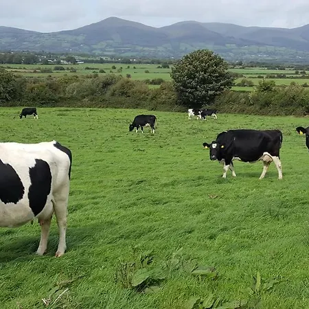 דירה With Private Pool Sleeps 5 *